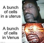 life_in_venus.jpg