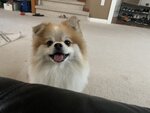 IMG_7105.jpeg