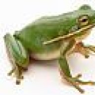 Crunchy_Frog
