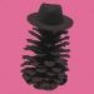FLAMINGPINECONE