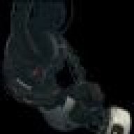 TheWishmaster