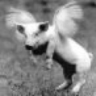 Pigasus