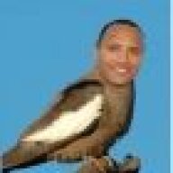 El_Tonto