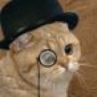 MrPudding