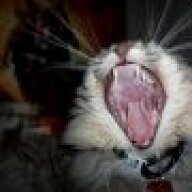 matthewccna