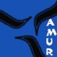 amuralshoq