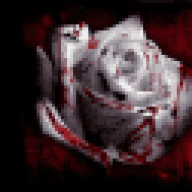 LucidNightmarez