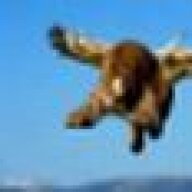 SuperMoo