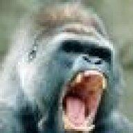 monkeyman0728