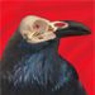 Ravenlute