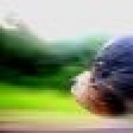 Time Travel Tucan