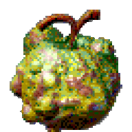 Zendra