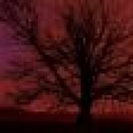 Springheel