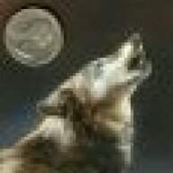 thewolfhunter