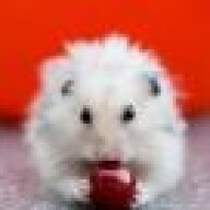 hamsterlord20