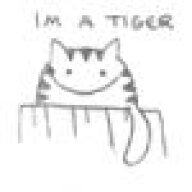 Mad cat