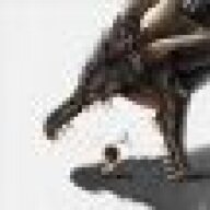 SplinteredBA