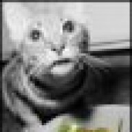 Meowy Wowy