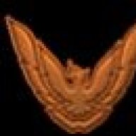 Firestorm Phoenix