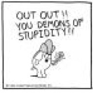 Pjmcnally