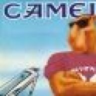 Dr_Camel