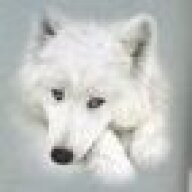 wolfachex