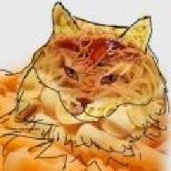 pastacat