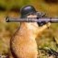 4232