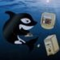 killerwhalen