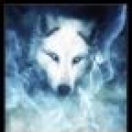 ArcticWolf131