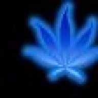 High_Life
