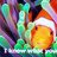 Psychic clownfish