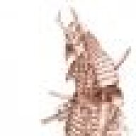 AndBursar