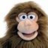 GamesGibbon