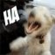 Noogster