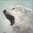 FangoftheWhiteWolf
