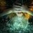 Naiad