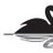 FeSwan