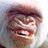 big-gorilla