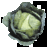 teh_cabbage