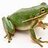 Crunchy_Frog