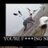 Sir Seagull