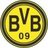 BVBFanatic