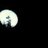 TenebrousNight