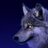 darkwolf29