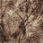 Diliviero
