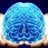 Living_Brain