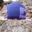 purplecactus