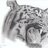 King Billi