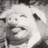 PeterMerkin69